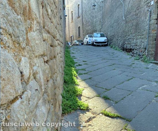 Viterbo - Via Pietra del pesce prima della pulizia