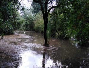 Località Vado Falcone a Fabrica di Roma