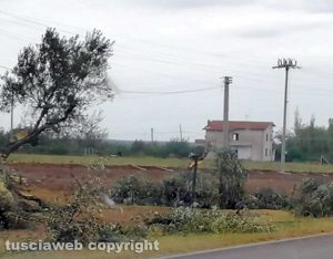 Danni del maltempo a Monterazzano
