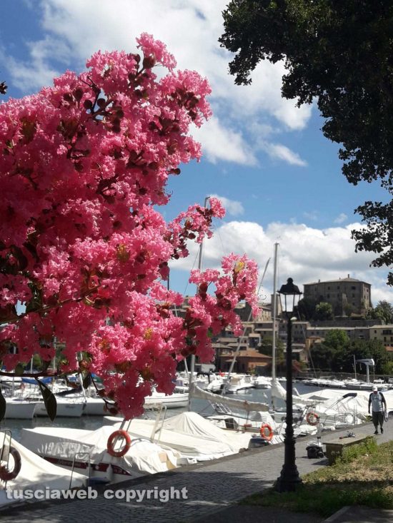Capodimonte - Una giornata al lago di Assunta Ricci