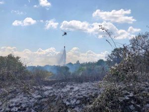 Elicottero in azione per spegnere un incendio (foto di repertorio)