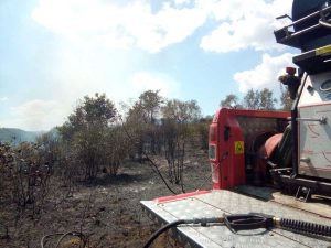 Incendio a Grotte di Castro - Vigili del fuoco sul posto