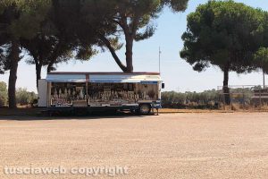 La Madonnina di Civitavecchia