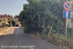 Viterbo - Incuria in via Mantova