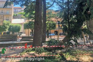 Farnese - Il ramo crollato sui giochi per bambini