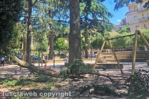 Farnese - Il ramo crollato sui giochi per bambini