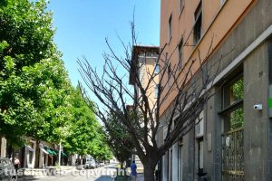 Viterbo - Incuria in via Marconi