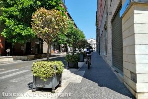 Viterbo - Incuria in via Marconi