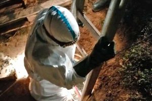 Il salvataggio del Labrador