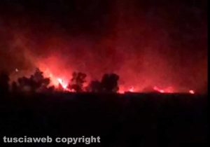 Tarquinia - Vasto incendio tra San Giorgio e Sant'Agostino