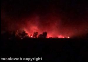 Tarquinia - Vasto incendio tra San Giorgio e Sant'Agostino
