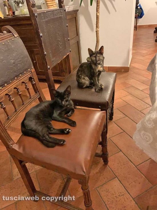 Noi siamo pronti, ma quando si mangia?
