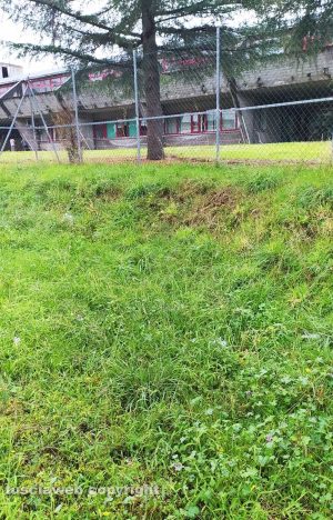 Viterbo - Erbacce e fango all'ingresso della scuola Alceste Grandori