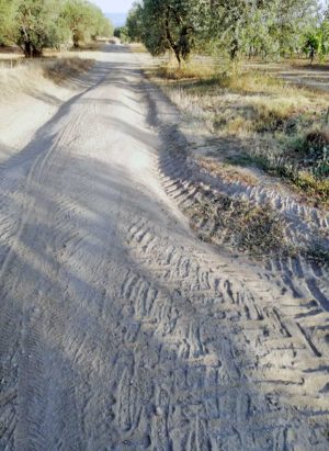 Montefiascone - Una strada di campagna