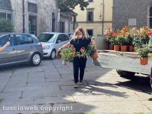 Le rose dell'associazione Viterbo on per il 3 settembre 