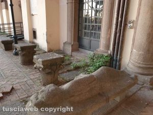 Viterbo - Incuria nei giardini di palazzo dei Priori