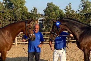 I cavalli del centro Le Doganelle al Cm Equitazione