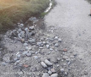Viterbo - Le condizioni in cui versa strada Salemme