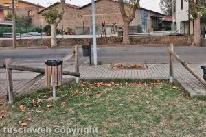 Viterbo - Incuria al parco pubblico di Grotte Santo Stefano