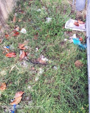 Viterbo - Rifiuti vicino all'ingresso della scuola Alceste Grandori