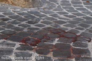 Aggressione nel centro storico di Viterbo - Due giovani accoltellati in via Valle Piatta