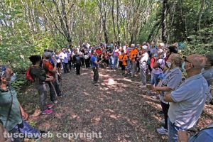 Il pubblico della passeggiata nella Selva del Lamone