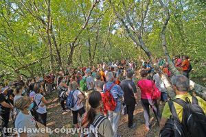 Il pubblico della passeggiata nella Selva del Lamone