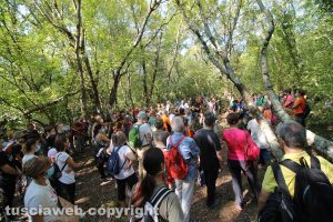 Il pubblico della prima passeggiata