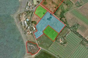 Tarquinia - I progetti per il lido - Le zone di intervento