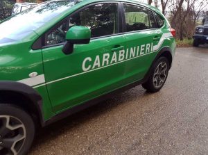 Carabinieri forestali 