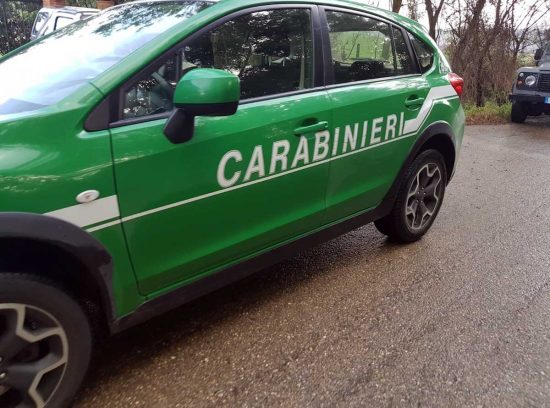 Carabinieri forestali