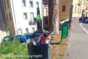 Viterbo - Secchi dell'immondizia pieni