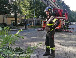 Viterbo - Ramo cade su viale Trento - I vigili del fuoco