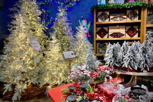Vetralla - Il Regno di Babbo Natale