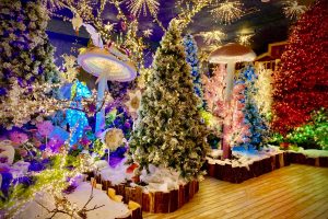 Vetralla - Il Regno di Babbo Natale