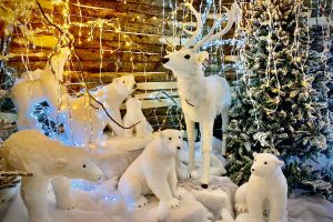 Vetralla - Il Regno di Babbo Natale