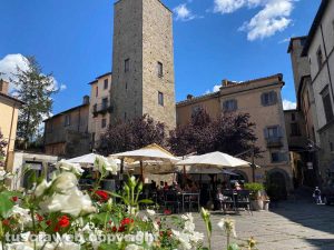 Le rose dell'associazione Viterbo on per il 3 settembre 