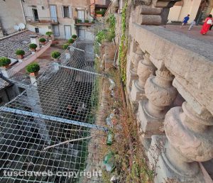 Viterbo - Incuria nei giardini di palazzo dei Priori