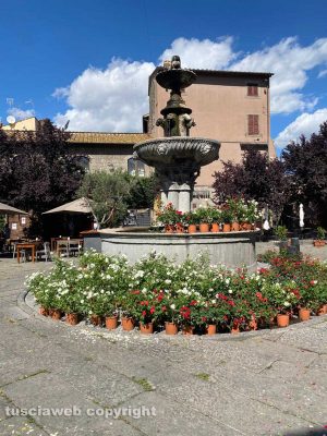 Le rose dell'associazione Viterbo on per il 3 settembre 