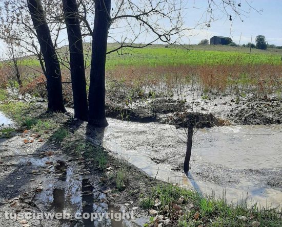 Pescia Romana dopo il nubifragio