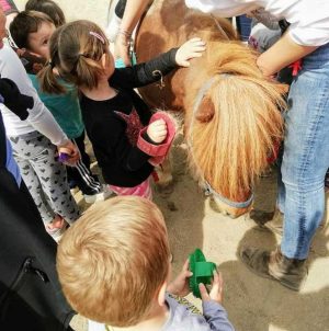 Viterbo - Clorophilla, festa della natura per bambini