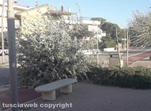 Tarquinia - Violenta mareggiata e forte vento