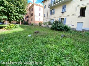 Il degrado nel giardino pubblico 