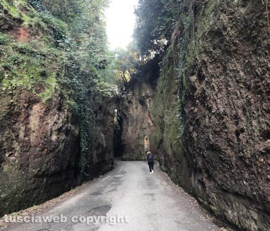 Panorami viterbesi immersi nella natura