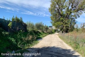 Viterbo - La Via Francigena nell'incuria
