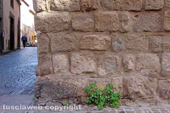 Viterbo - La torre di via della Pace