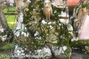 Viterbo - Degrado al cimitero di San Lazzaro
