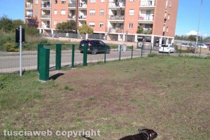 Viterbo - L'area sgambatura cani di Santa Barbara