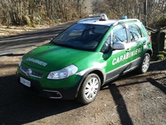 Carabinieri forestali