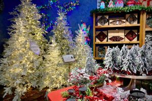 Vetralla - Il Regno di Babbo Natale